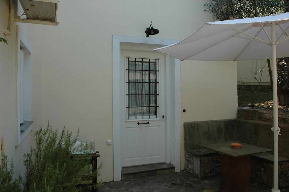 Gera's Olive Grove 27/50