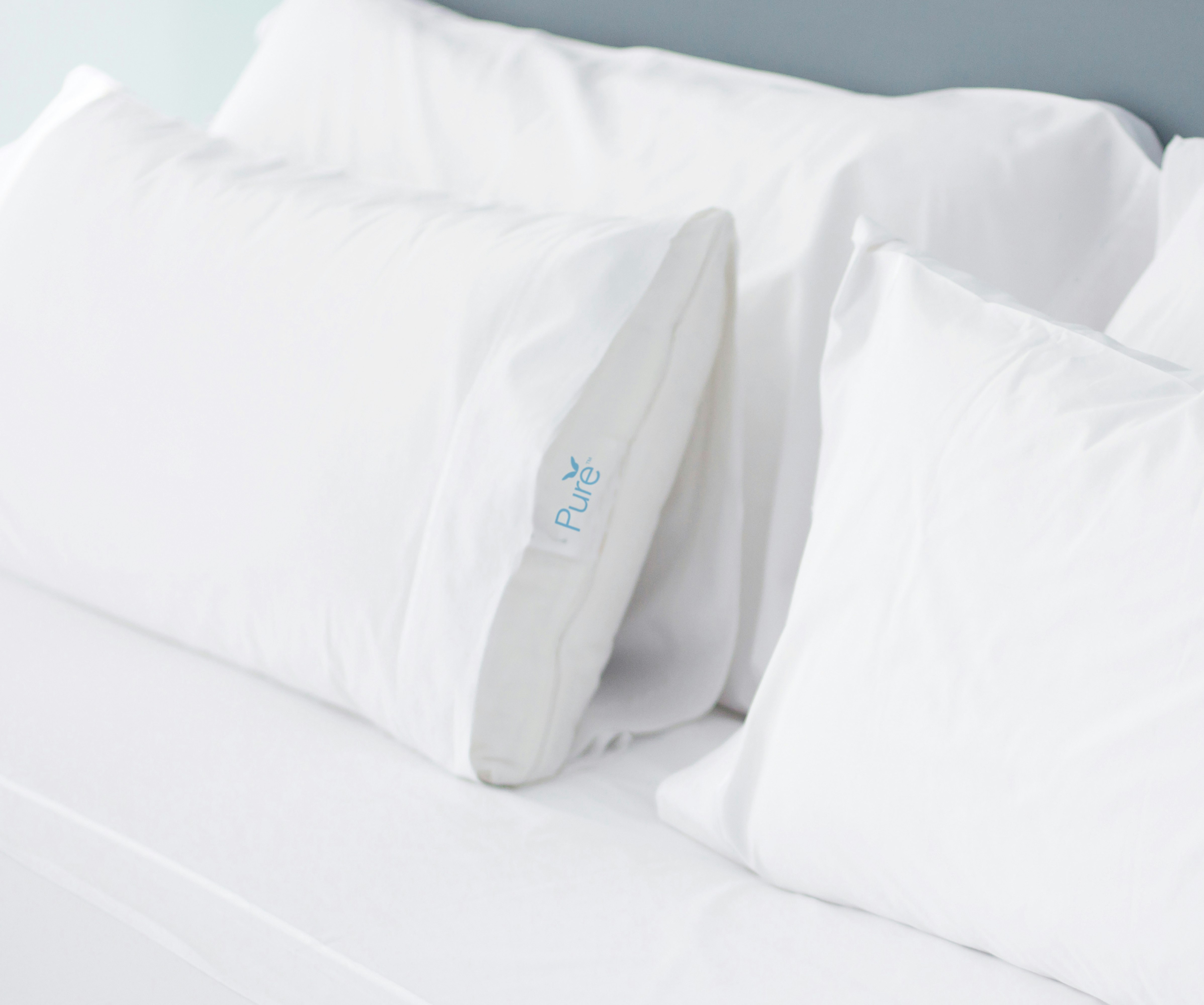 PURE, 2 QUEEN BEDS, ACCESSIBLE