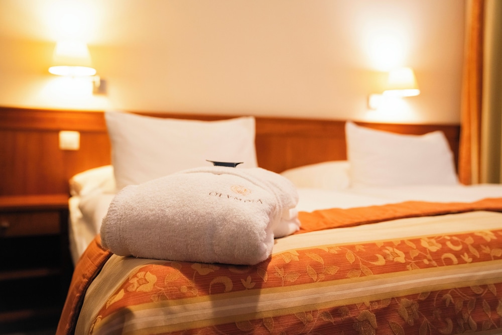 Spa & Wellness Hotel Olympia Marienbad 21/51