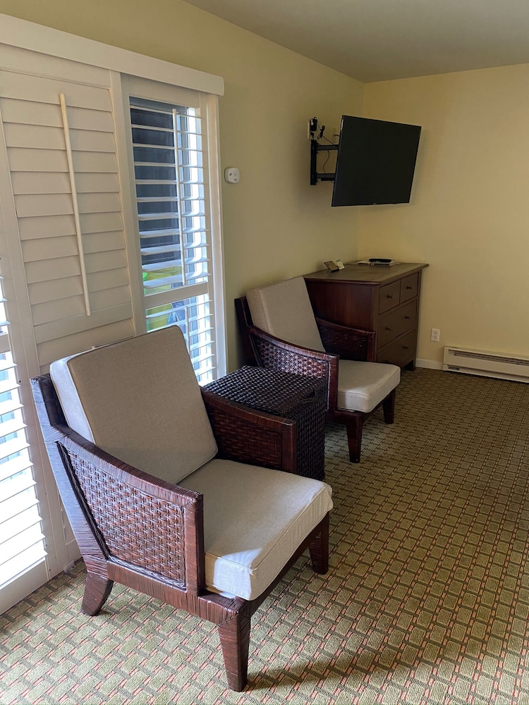 Olympia Lodge 24/39