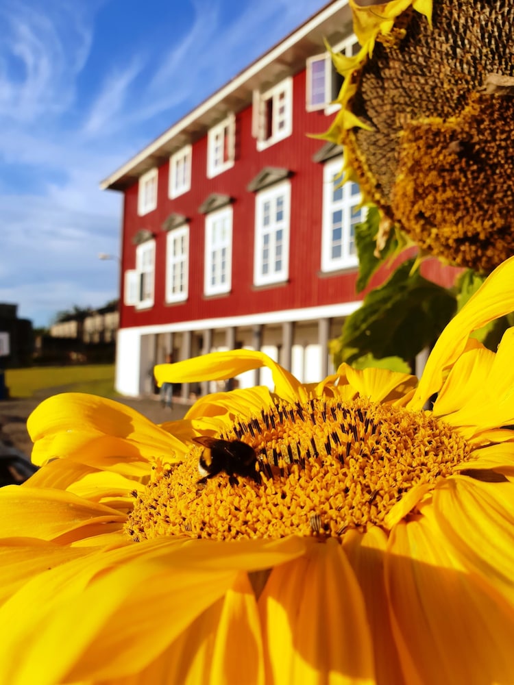 Oslo Hostel Rønningen 30/37