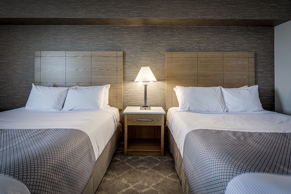 Monte Carlo Inn Vaughan Suites 16/65