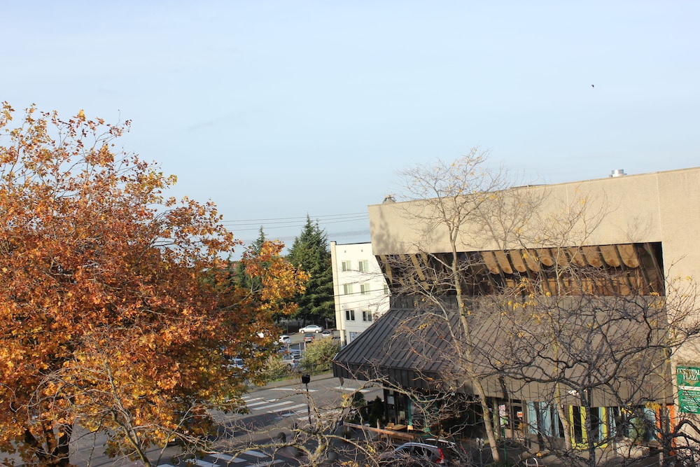Hotel Leo 18/44