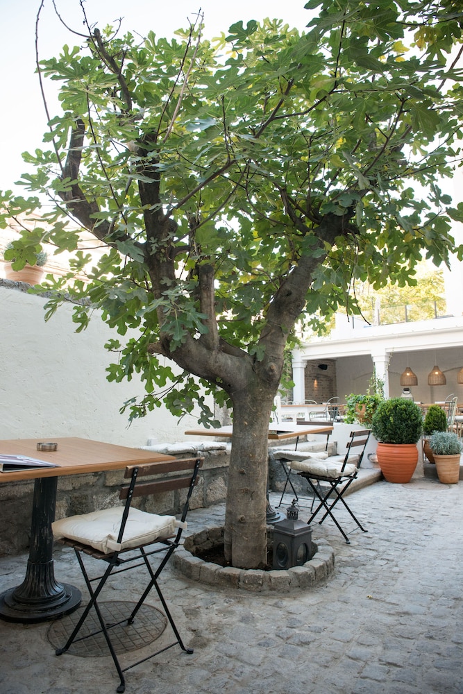 Smokvica Dorcol B&B 17/21