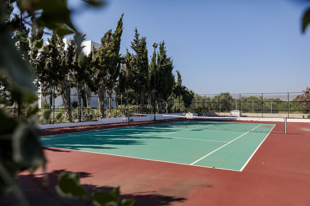 Aliathon Ionian 18/38