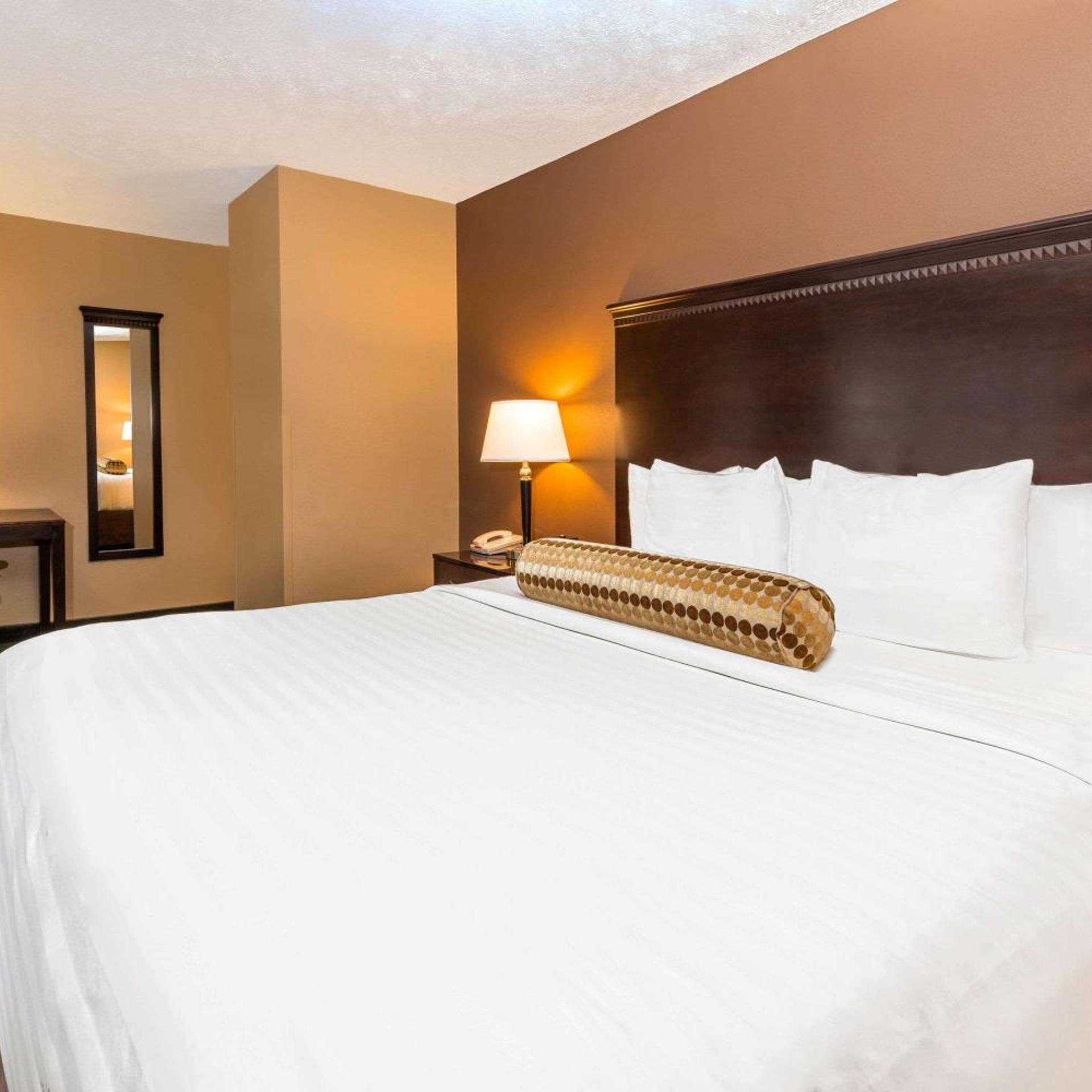 Deluxe, King Bed