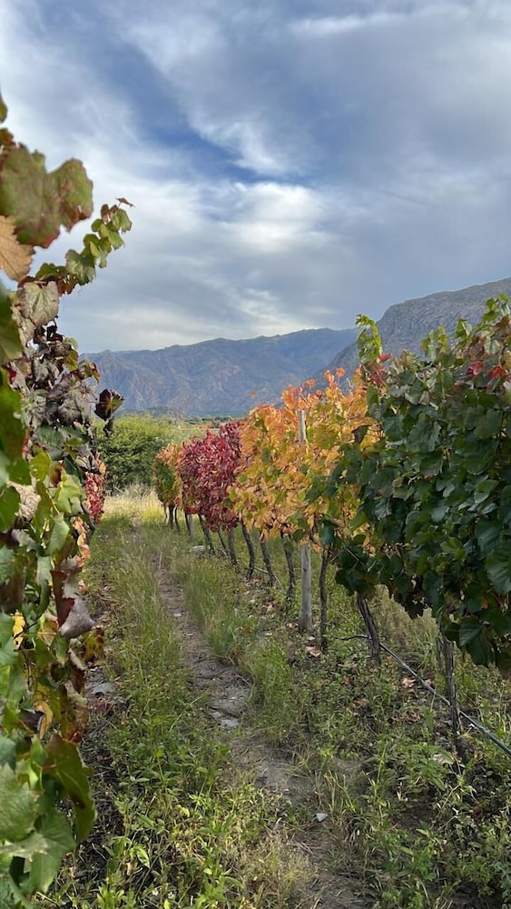 Piattelli Wine Resort 35/50
