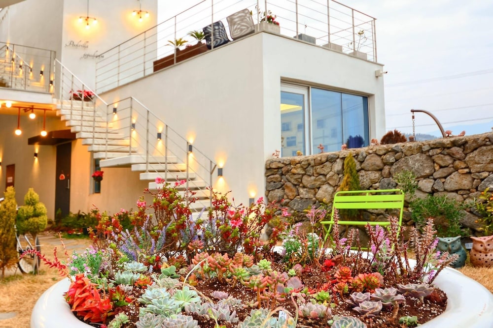 Seogwipo Dawa Pool Villa Pension 4/50