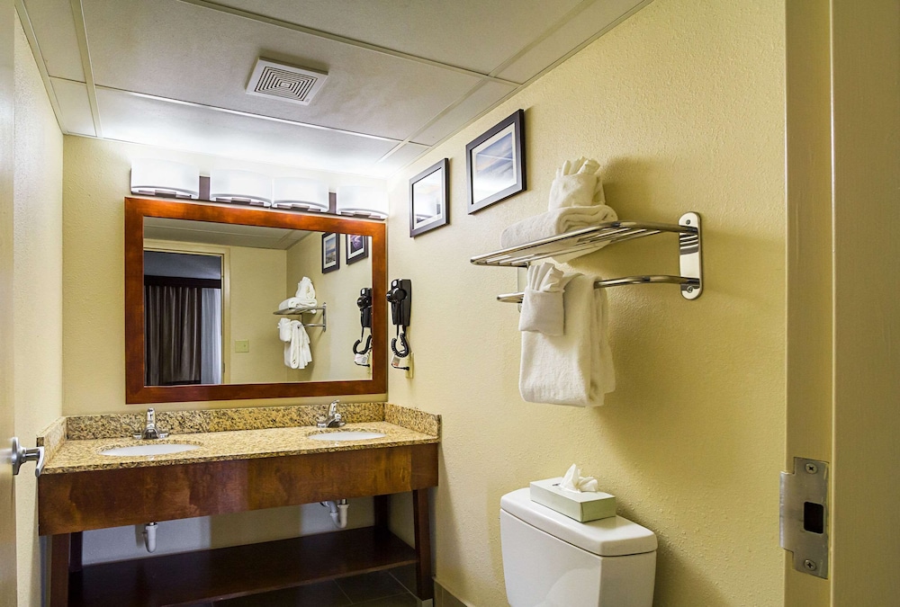 Comfort Inn Cleveland Downtown 14/29