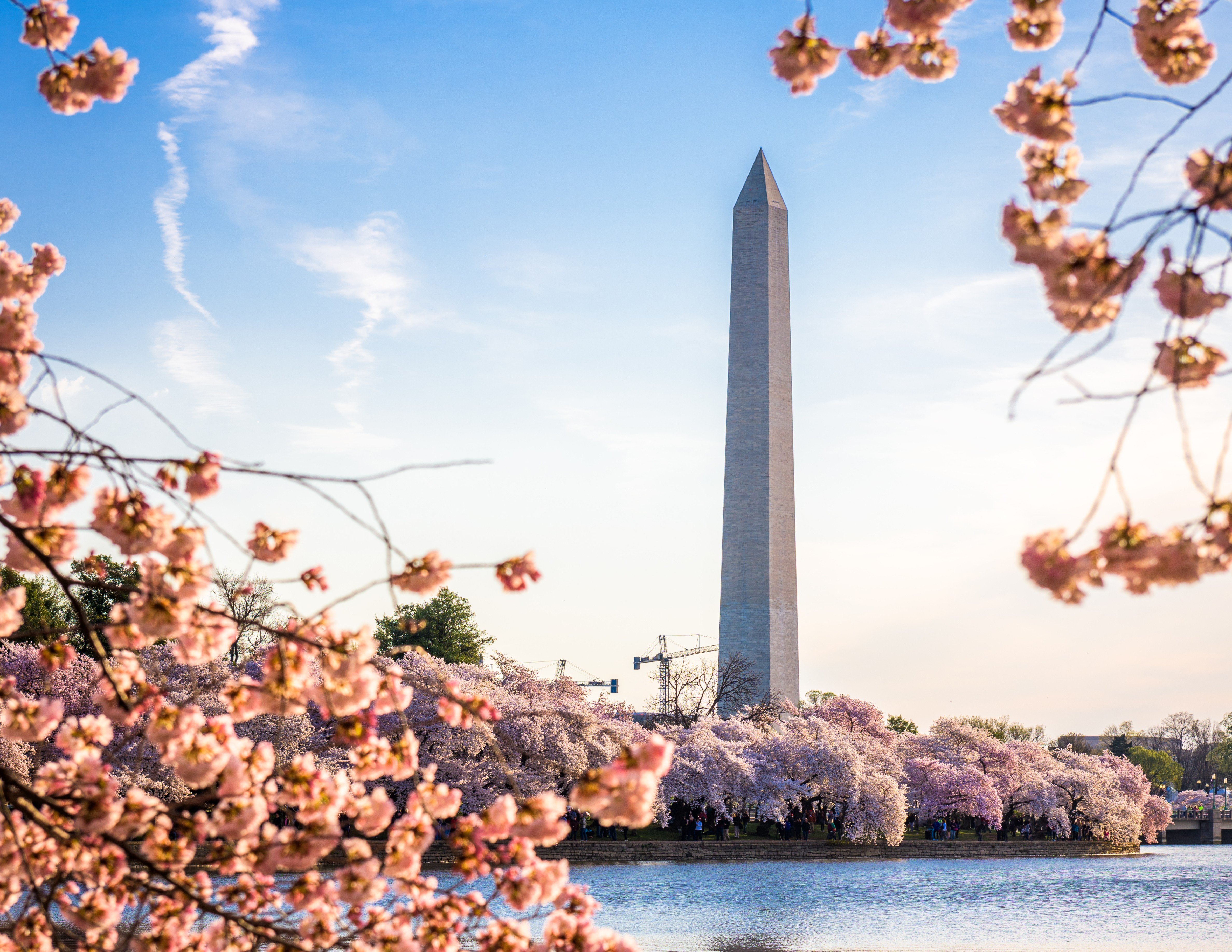 Staybridge Suites Washington D.C. - Greenbelt 28/28