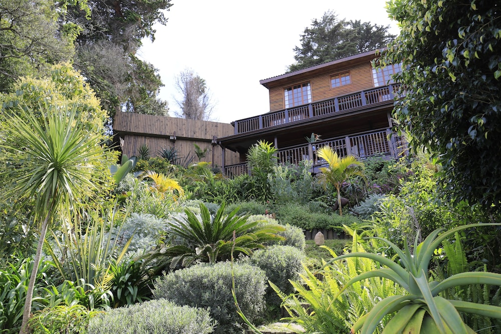 Big Tree House Lodge 29/38