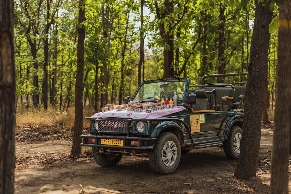Brij Sone Bagh, Bandhavgarh, A Luxury Jungle Retreat 53/61