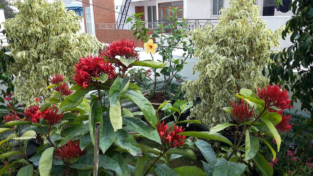 Ixora Suites 44/46