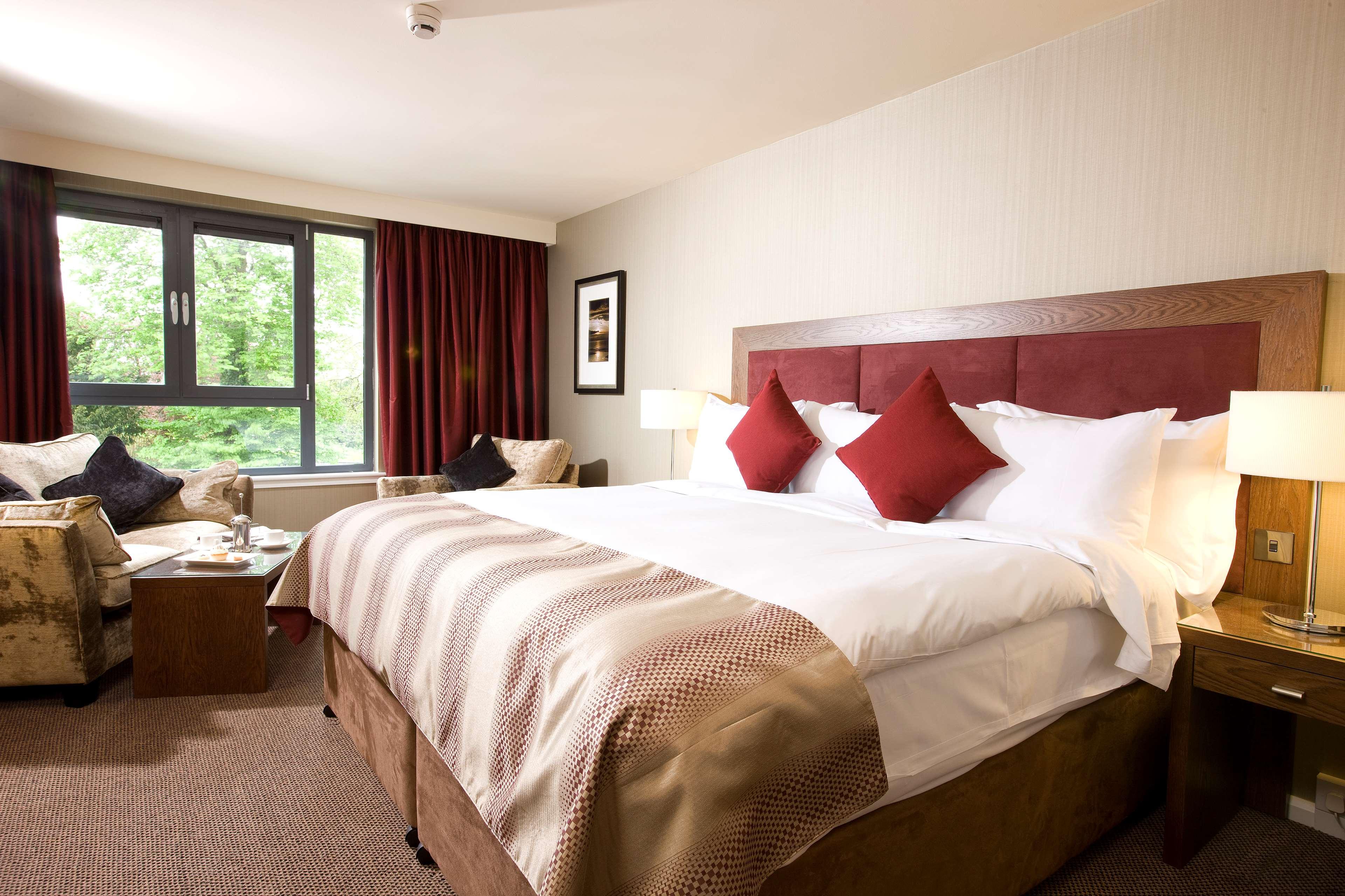 Cocoon, Executive, 2 King Beds