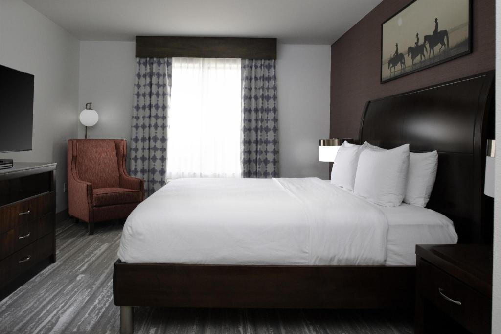 Room at HILTON GARDEN INN DENISON SHERMAN AT TEXOMA EVENT CENTRE, DENISON - TX