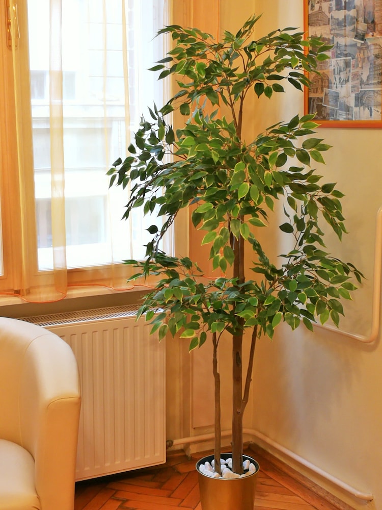 Paprika Apartman 12/50