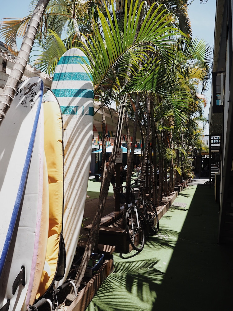 Backpackers In Paradise Hostel 58/60