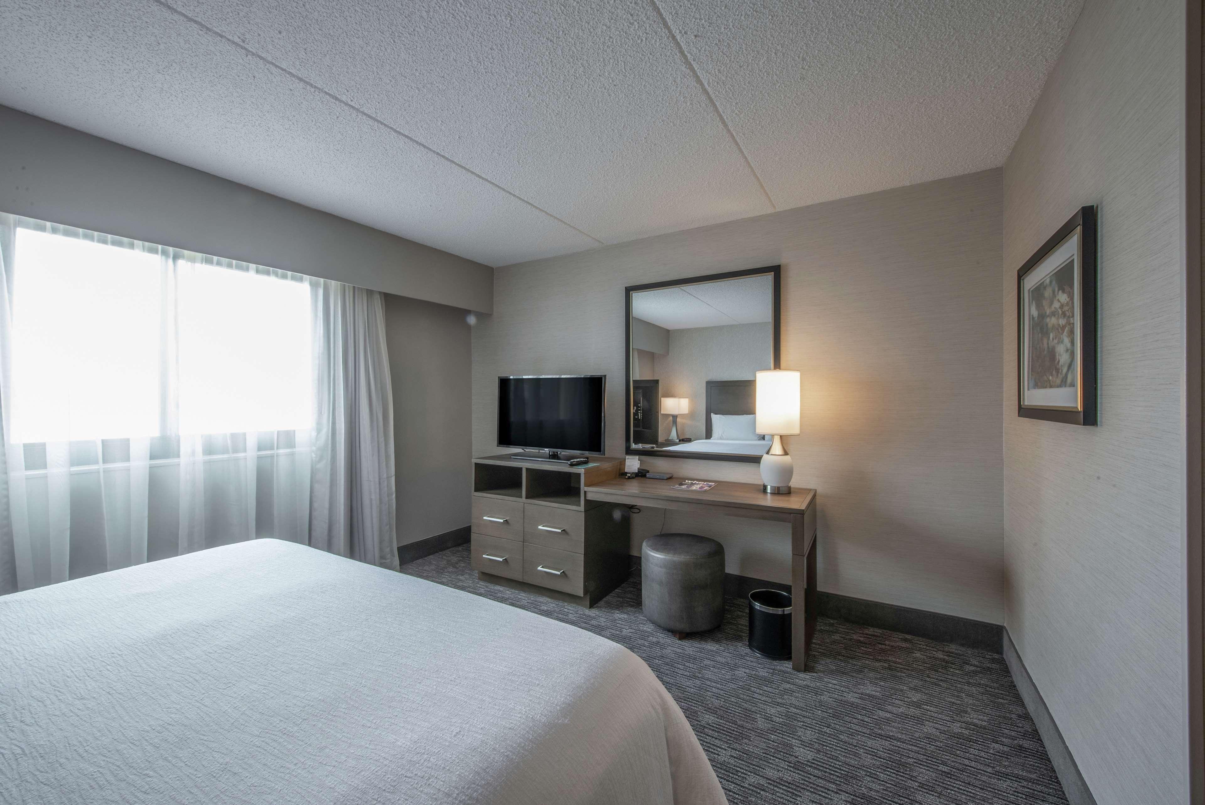 Suite, King Bed