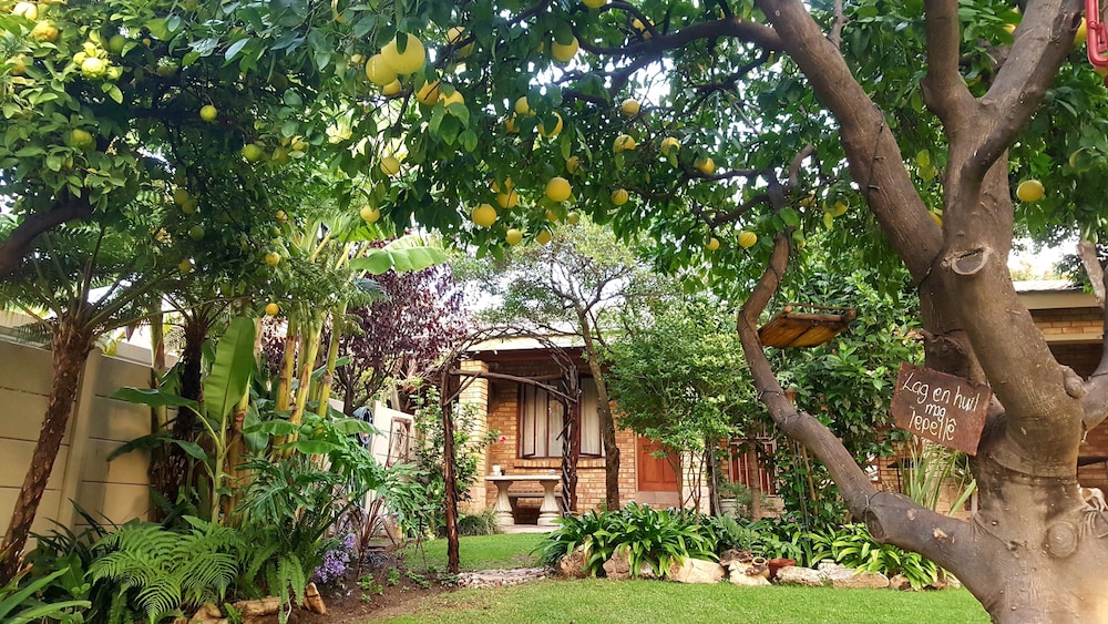 Citrus Lane Guesthouse 42/50