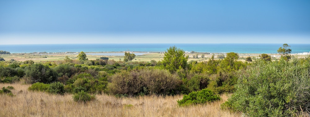 Antica Masseria Rottacapozza 24/36