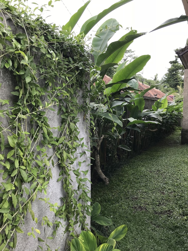 Rumah Dadong 33/50