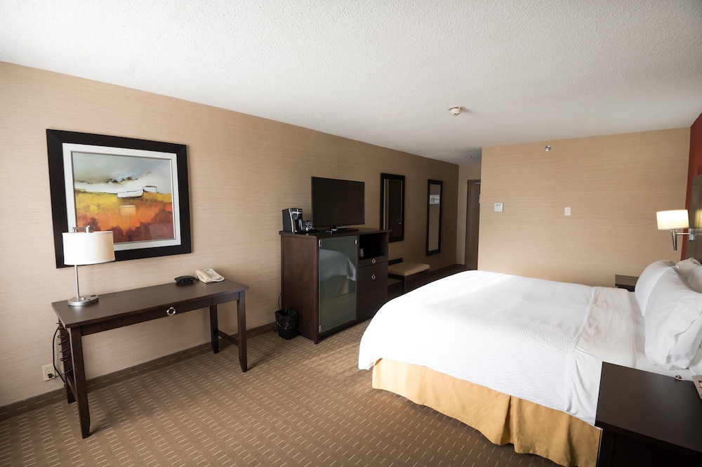 غرفة قياسية بسرير كينج، Holiday Inn Express Suites Chatham South 2/3