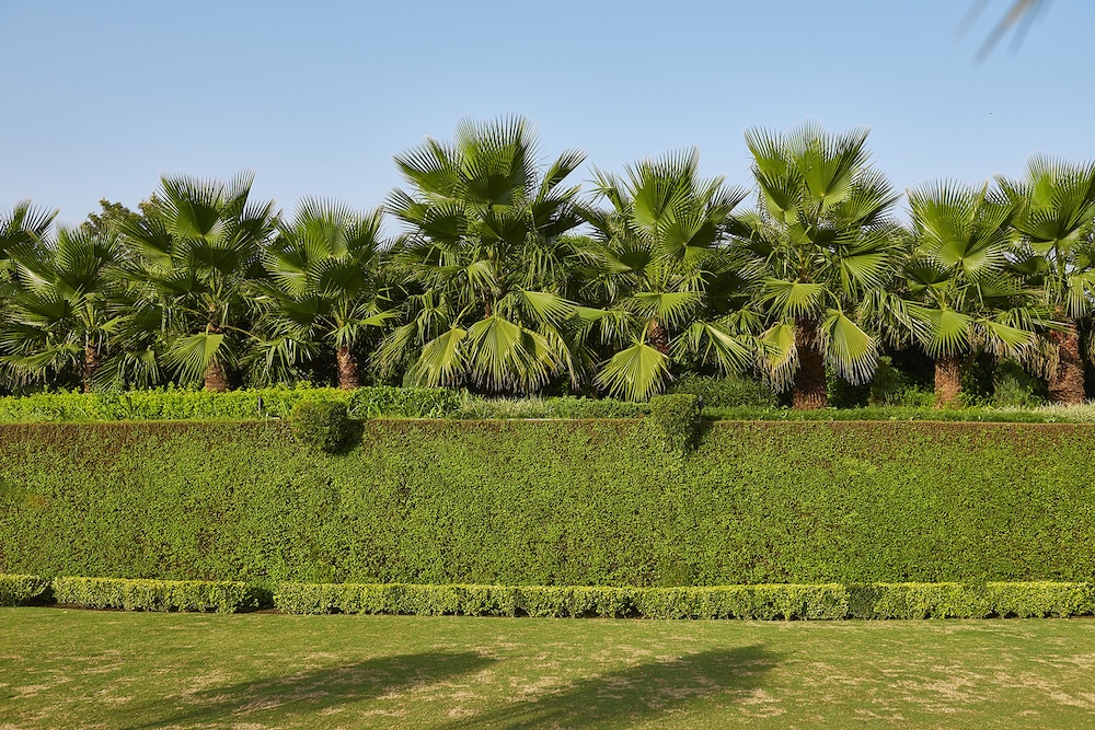 Club Mahindra Kandaghat 48/62