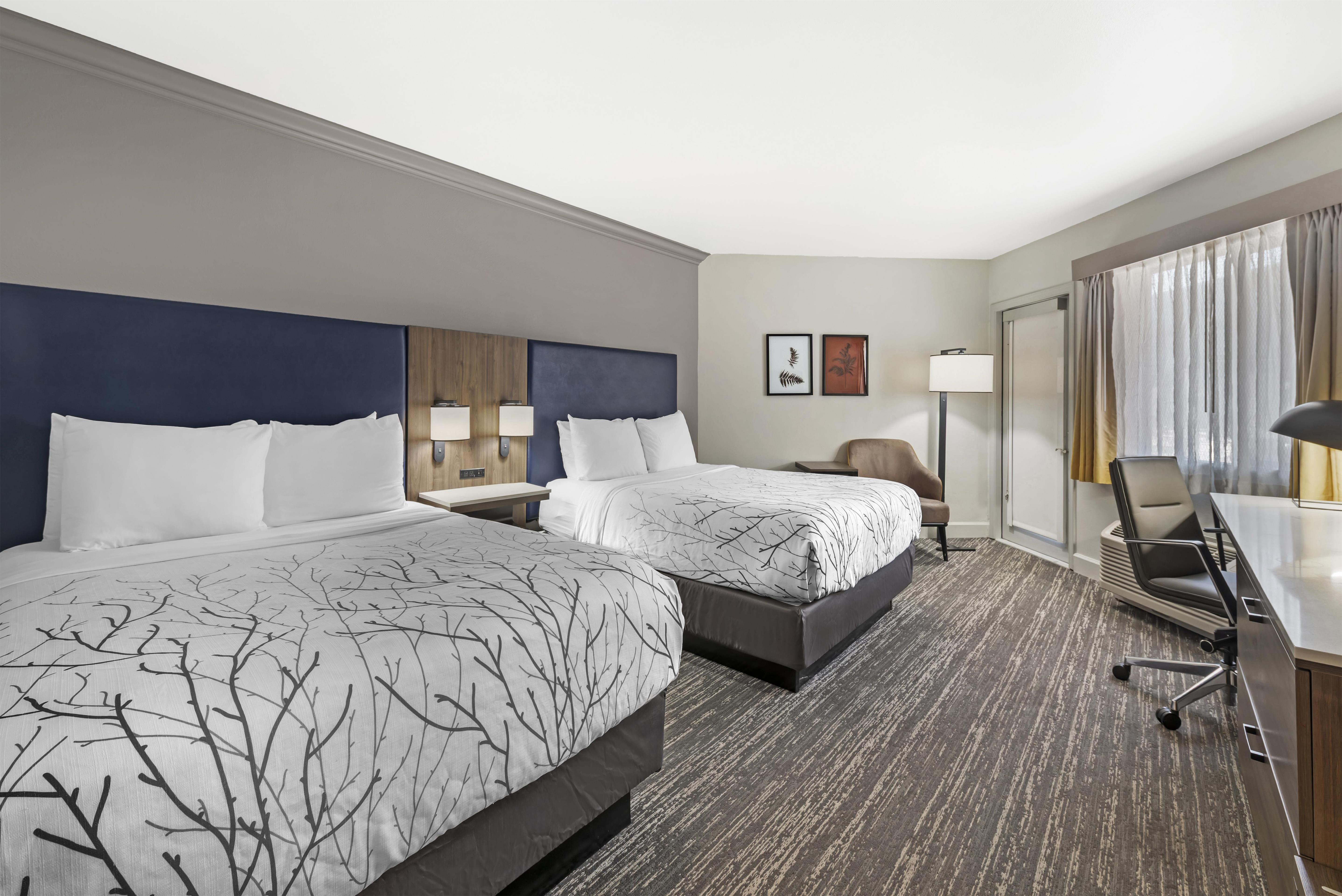 Room, Quadruple, Queen Bed