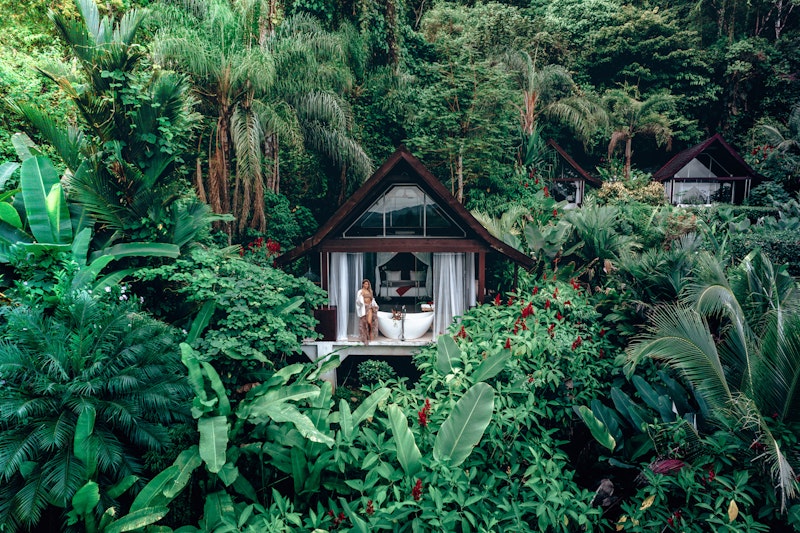 Oxygen Jungle Villas 35/35