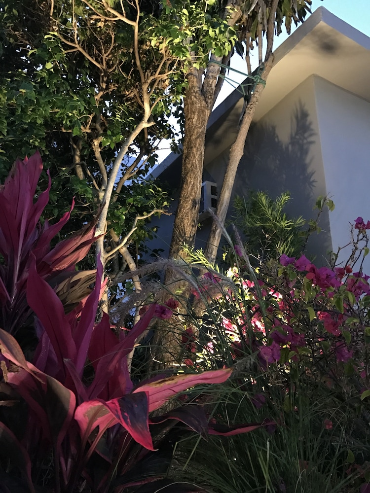 Luxury Miami Beach Apartments By Michigan 60/64