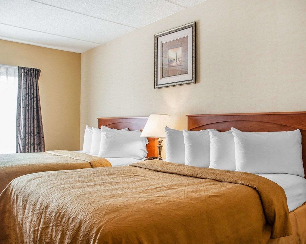 Quality Hotel & Suites At The Falls 13/51