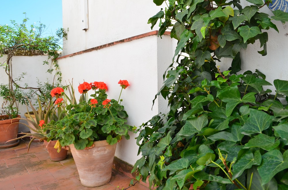 Hotel Santa Isabel La Real 62/66