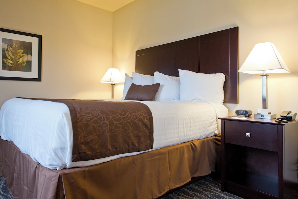 Cobblestone Inn & Suites - Boone 16/50