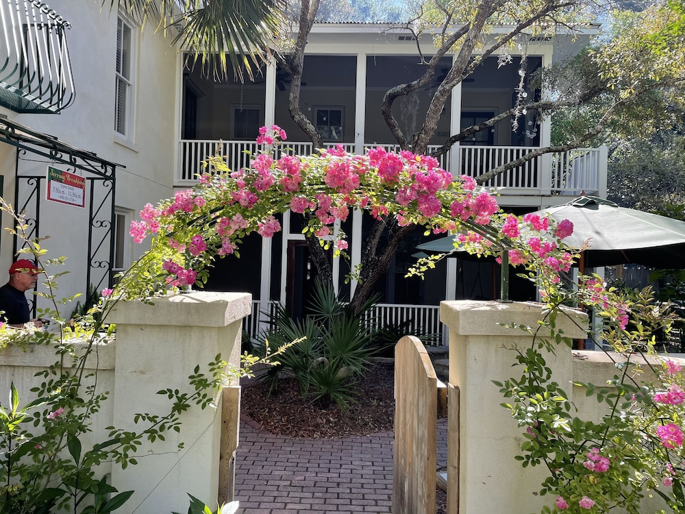 Hibiscus Coffee & Guesthouse 45/50