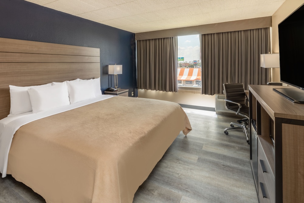 ROOM, KING BED, ACCESSIBLE