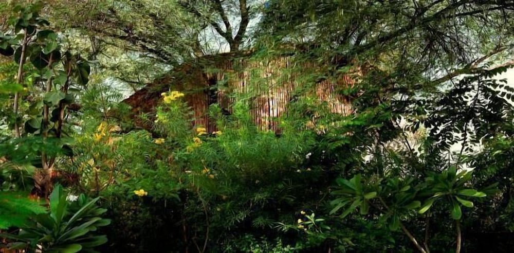The Tree House Resort 21/35