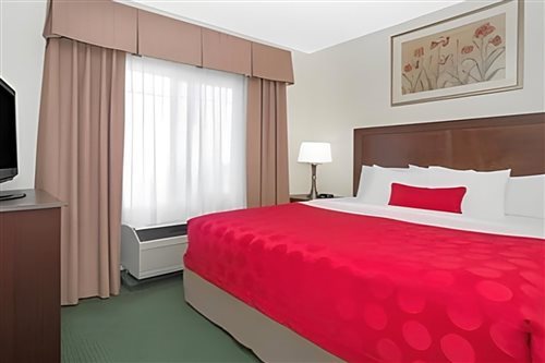 Studio, Suite, King Bed