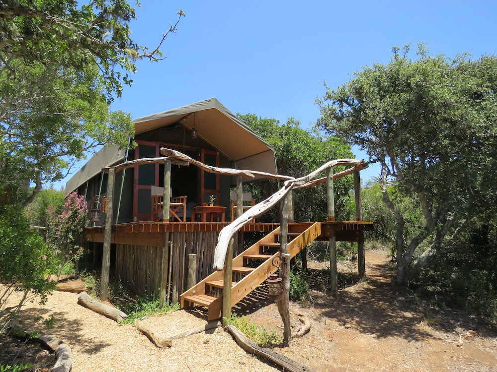Amakhala Woodbury Tented Camp 3/33
