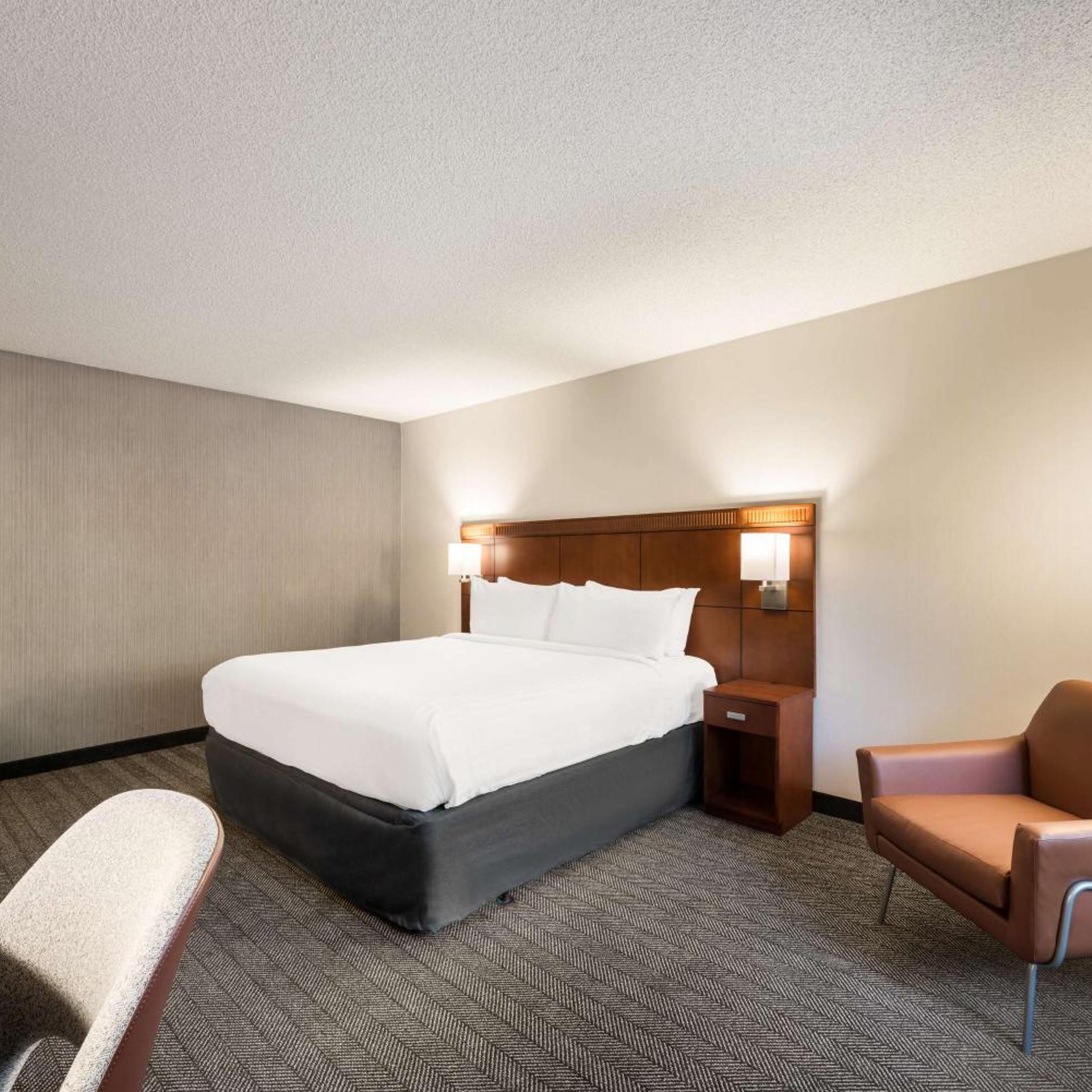 Guest Room, King Bed, Bathtub, Accessible