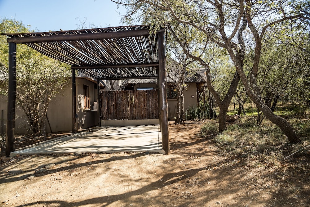 Raptors Lodge N16 35/50