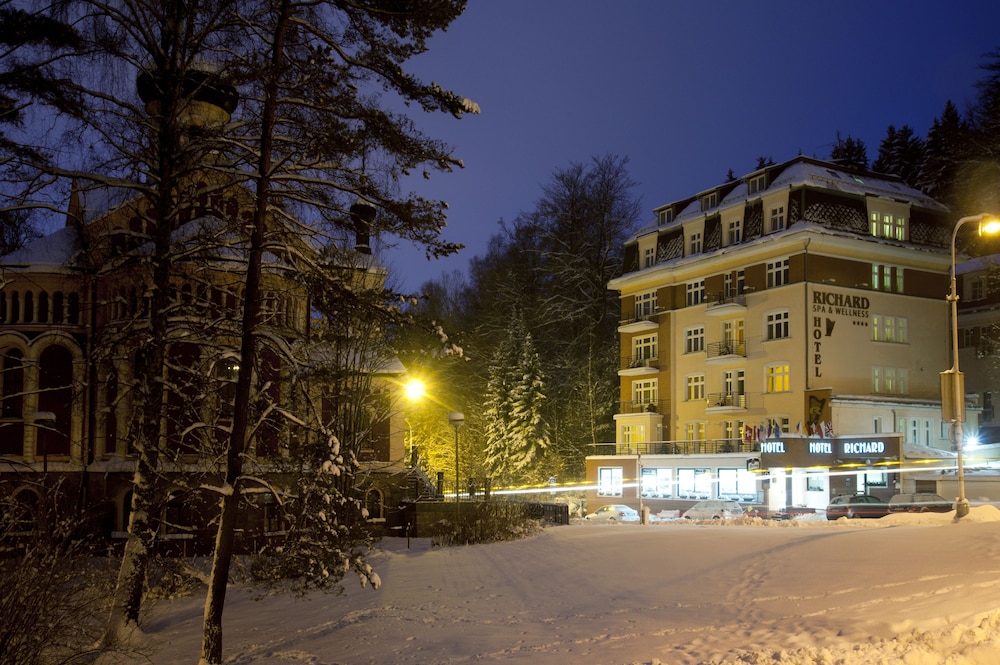 Hotel Richard 4/55