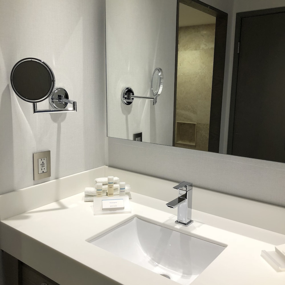 Hilton Garden Inn Mexico City Santa Fe 29/73
