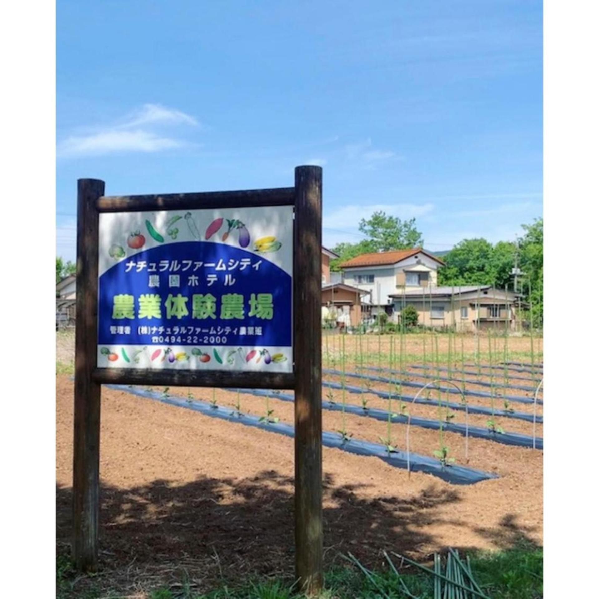 Natural Farm City Noen Hotel 55/56
