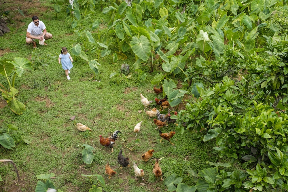 Quinta do Martelo 34/75