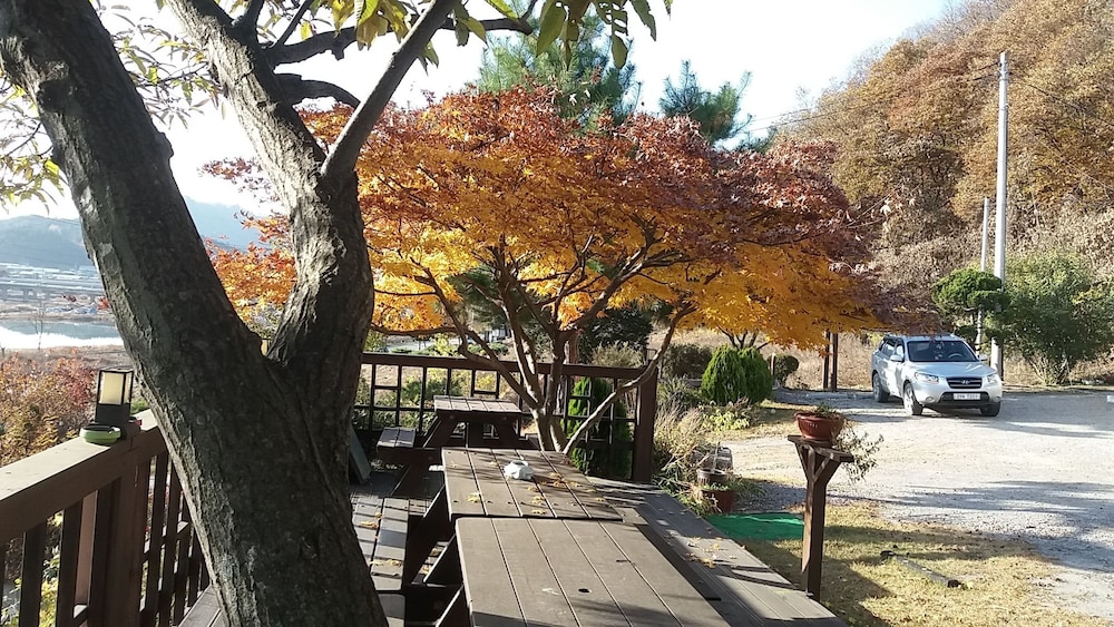 Forest Of Color Pension 35/50