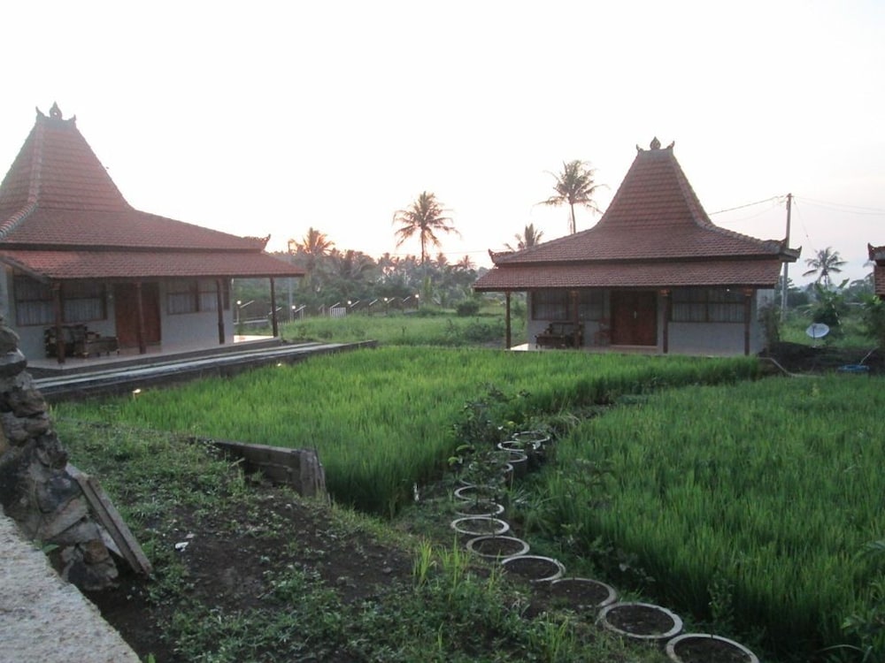 Kampoeng Joglo Ijen Banyuwangi 10/46