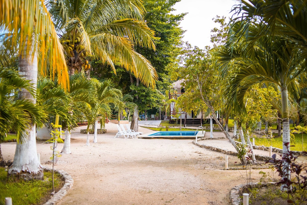 Royal Palm Bacalar 61/73