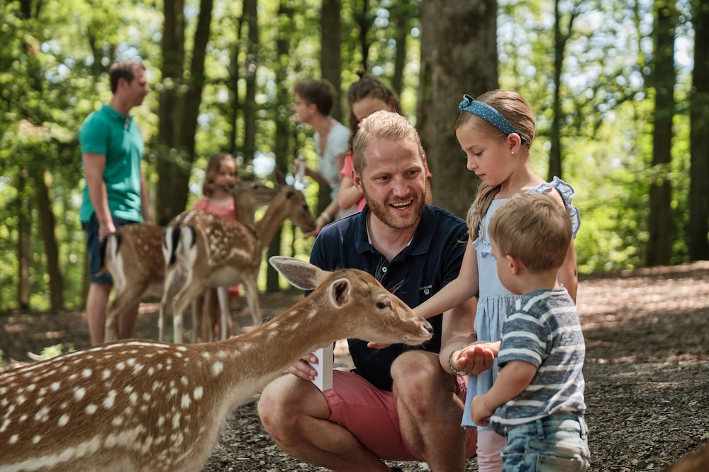 Natur-Resort Tripsdrill 15/50