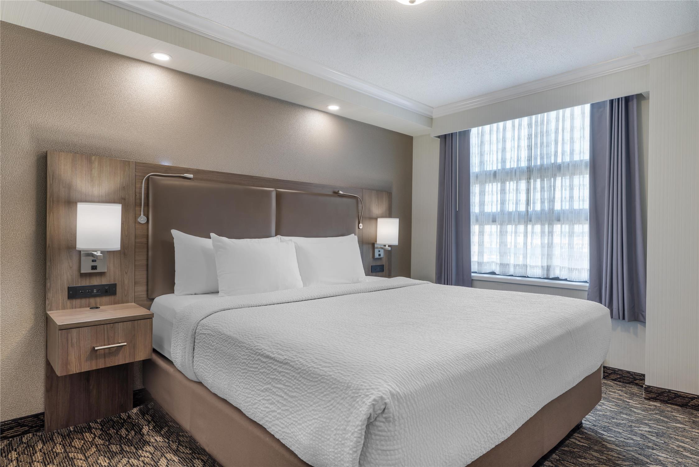 Suite, King and Queen Bed, Sofa, Kitchen