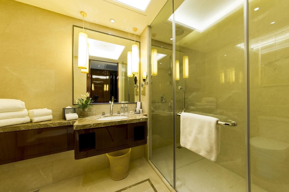 YANG PENG JINJIANG HOTEL 7/17